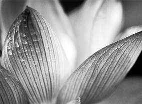 短信验证码轰炸在线版