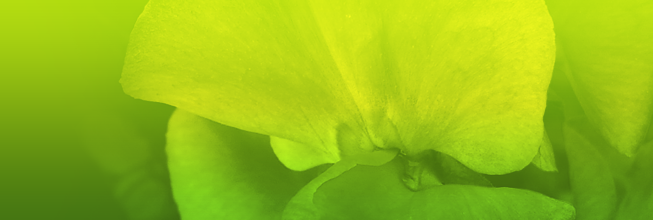 短信电话免费轰炸网站